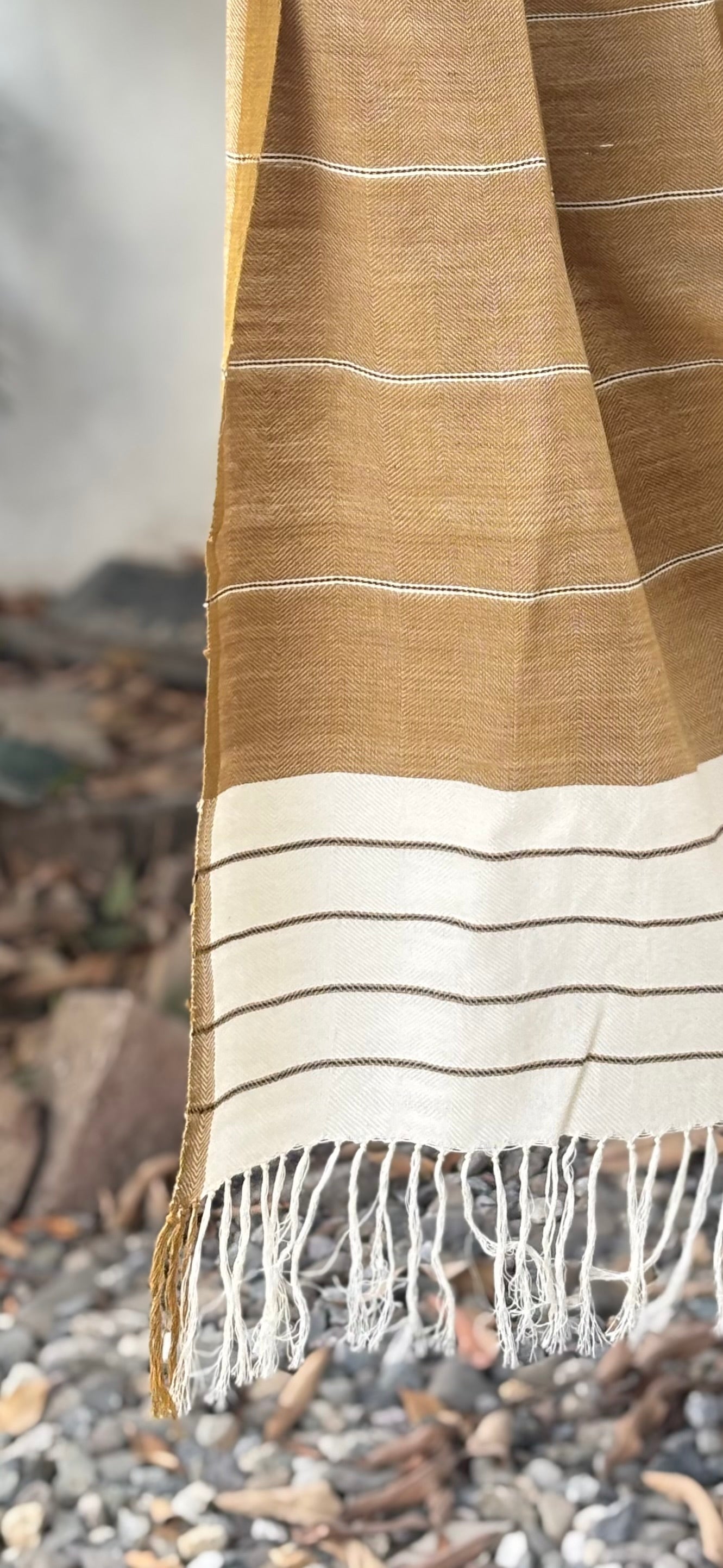 Light Brown Striped