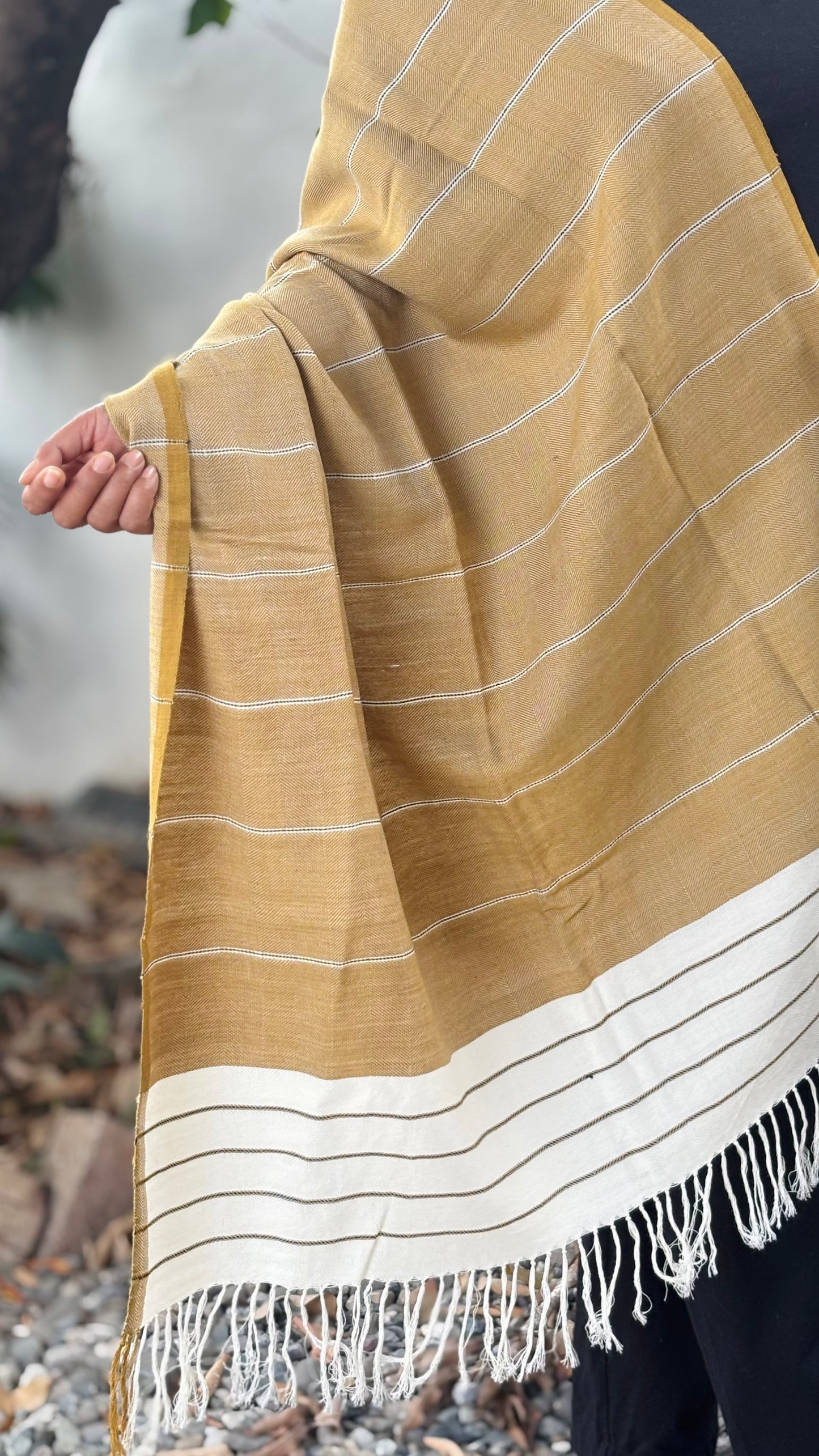 Light Brown Striped